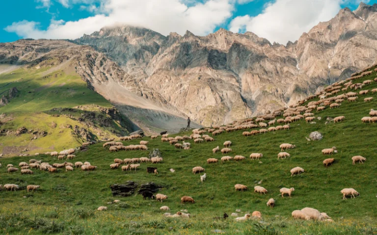 Srinagar – Pahalgam | Valley Sightseeing